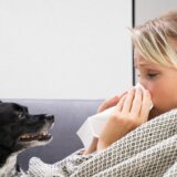 Samo jedan simptom otkriva da li imate grip: Dr Biserka Obradović razrešila dilemu 4