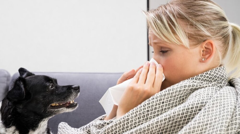 Samo jedan simptom otkriva da li imate grip: Dr Biserka Obradović razrešila dilemu 1