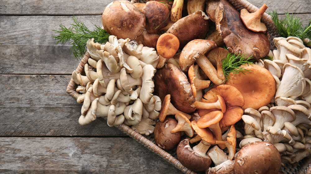 Da li ste čuli za ovu pečurku: Dokazano je da mala količina ekstrakta pozitivno utiče na mozak 1