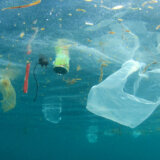 Unesko čisti 50 morskih lokaliteta svetske baštine od plastičnog otpada 8