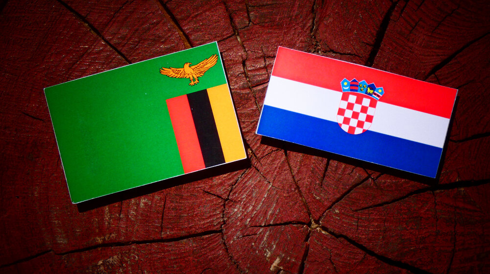 Šef Vrhovnog suda: „Decu treba dovesti u Hrvatsku. Deca ništa nisu sama organizovala niti realizovala' 1