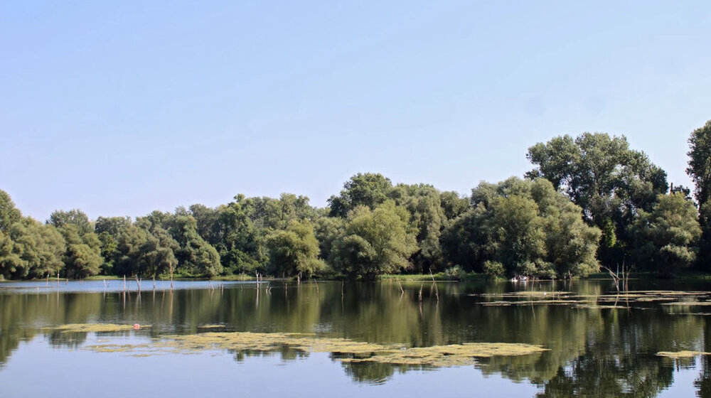 Novosadska organizacija "Svet i Dunav" dopunila žalbu Bernskoj konvenciji zbog izgradnje priobalja i ugrožavanja zaštićenih vrsta 1