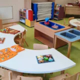 021: Pretnje vaspitačicama vrtića u Temerinu zbog navoda Saše Borojevića 13