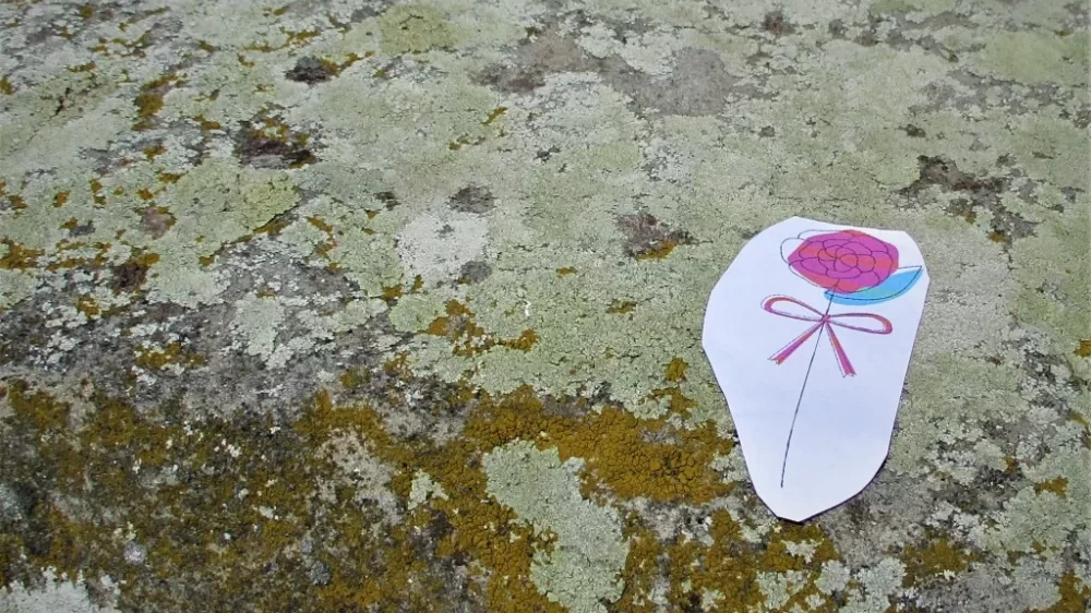 Zbog čega je pisac Danijel Apro za 14 dana biciklom prešao 1.035 kilometara kroz Vojvodinu 2