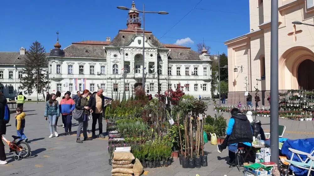 Na Zrenjaninskom trgu izložba cveća, sadnica i zelenila 1