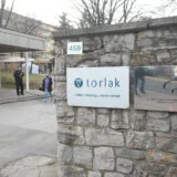 "Darija Kisić jeste kompetentna, ali...": Bivši šef odeljenja na Torlaku o novoj v.d. direktorki 5