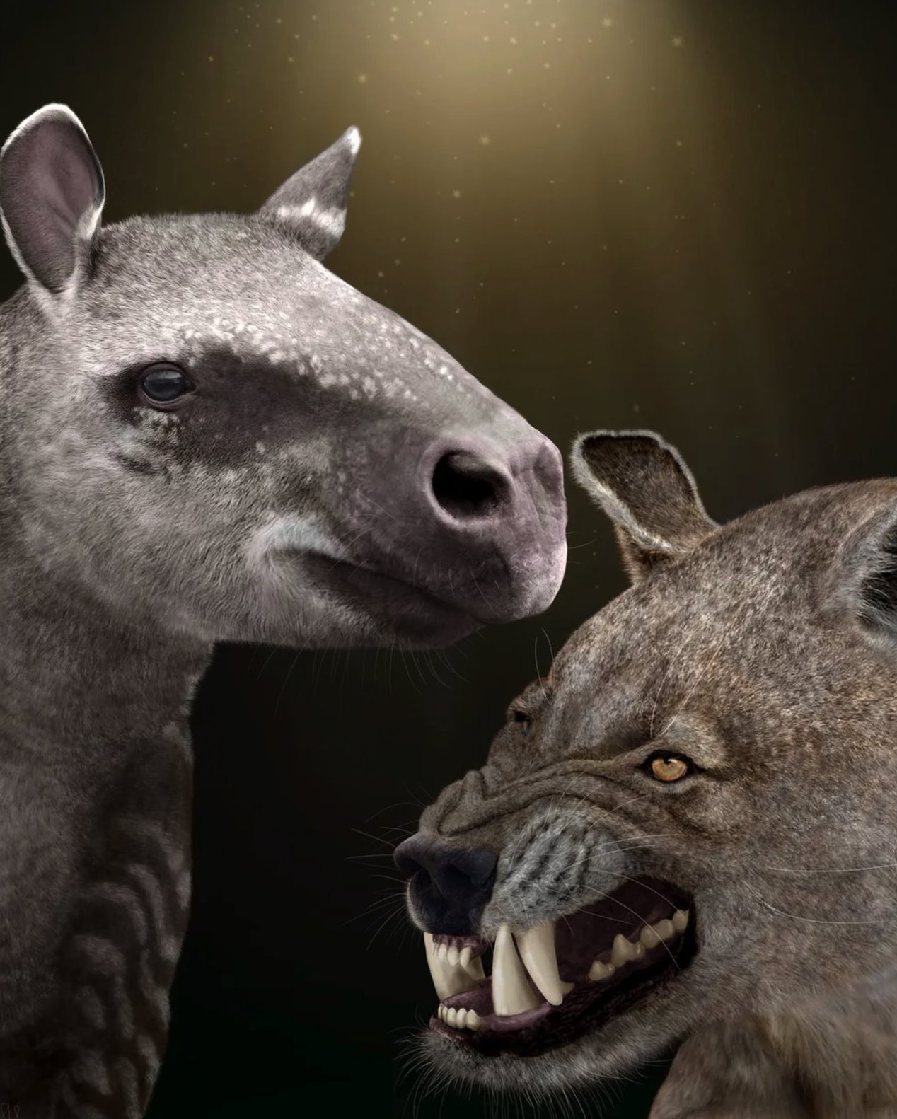 Nauka: Kako su naši preci preživeli asteroid koji je doveo do smaka sveta 5 hirakijusa, levo, i arktokion desno