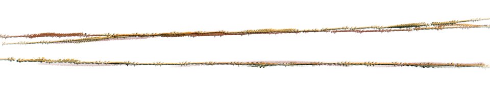 Rusija i Ukrajina: Hiljade Ukrajinaca skoro godinu dana se nalazi u zarobljeništvu bez veze sa svetom 2 BBC