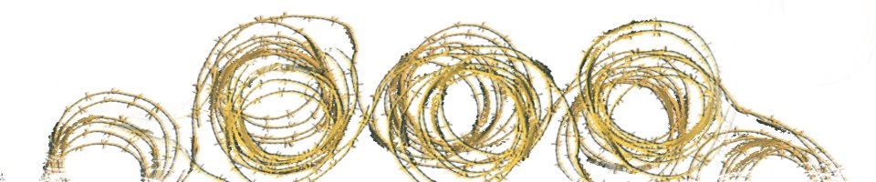 Rusija i Ukrajina: Hiljade Ukrajinaca skoro godinu dana se nalazi u zarobljeništvu bez veze sa svetom 8 BBC