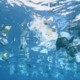 Zagađenje i životna sredina: U okeanima pluta više od 170 biliona komada plastike 5