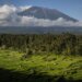 Turizam: Rus se slikao nag na svetoj planini u Indoneziji, vlasti ga deportuju 8