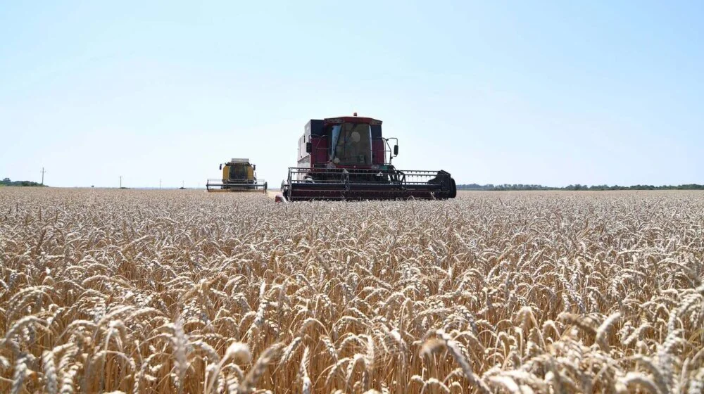 Vlada Srbije odlučila da robne rezerve otkupe 200.000 tona pšenice od ratara 1