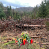 Devojčice priznale ubistvo vršnjakinje (12) u Nemačkoj, mogući motiv – osveta 8