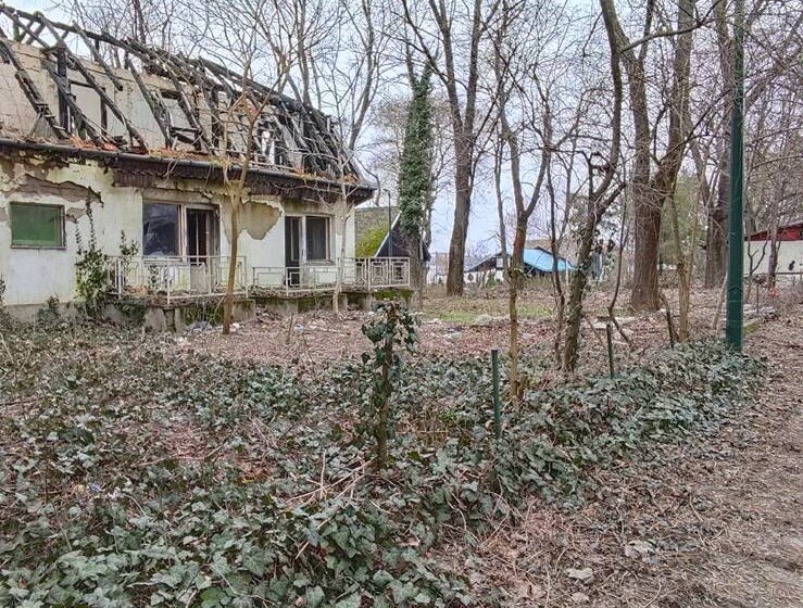 Napreduje uređenje vikend naselja na Paliću, naredne nedelje počinje i akcija krčenja zaraslih površina 1