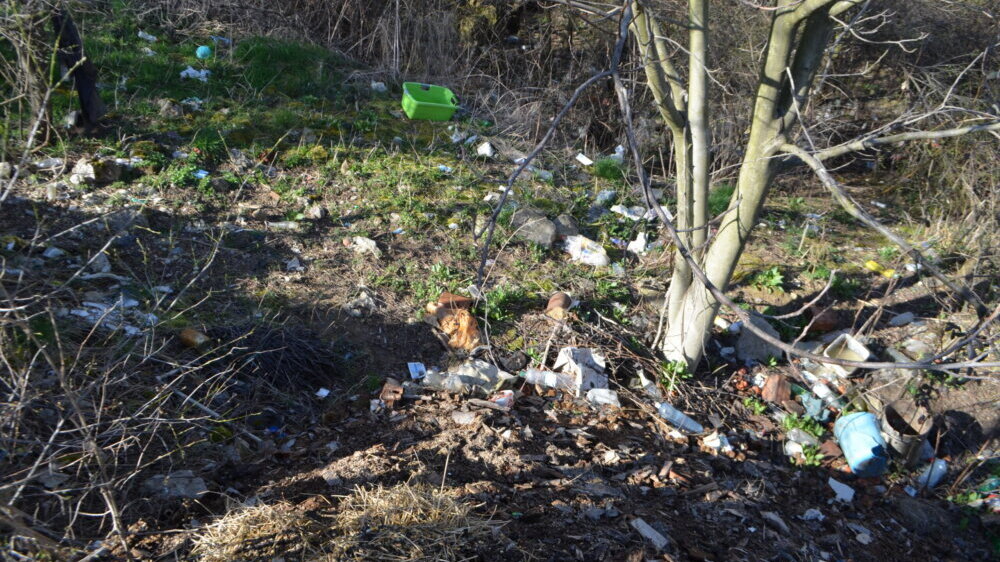 (FOTO) Divlja deponija usred grada: U koritu Sobinske reke u Vranju "životinjske iznutrice i fekalije", nadležni bez odgovora 2