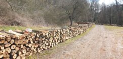 Eskalirala seča šume na Fruškoj gori: Više nema pedlja koji nije pod testerama 14