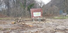 Eskalirala seča šume na Fruškoj gori: Više nema pedlja koji nije pod testerama 12
