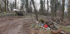 Eskalirala seča šume na Fruškoj gori: Više nema pedlja koji nije pod testerama 13