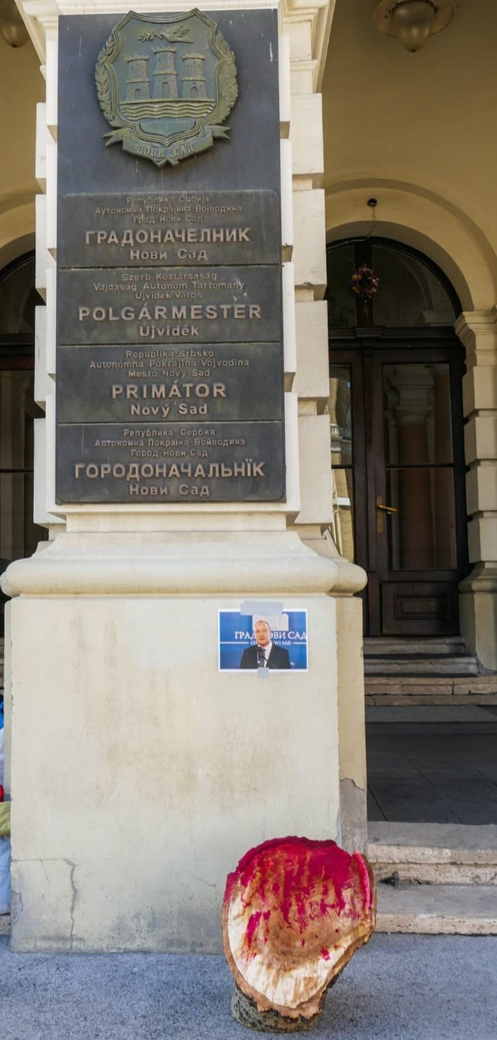 Posečena debla sa Šodroša obojena u crveno osvanula ispred novosadskih nadležnih institucija (FOTO) 2