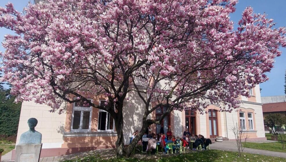 U dvorištu Biblioteke šabačke, pod drvetom magnolije, obeležen Svetski dan poezije 1
