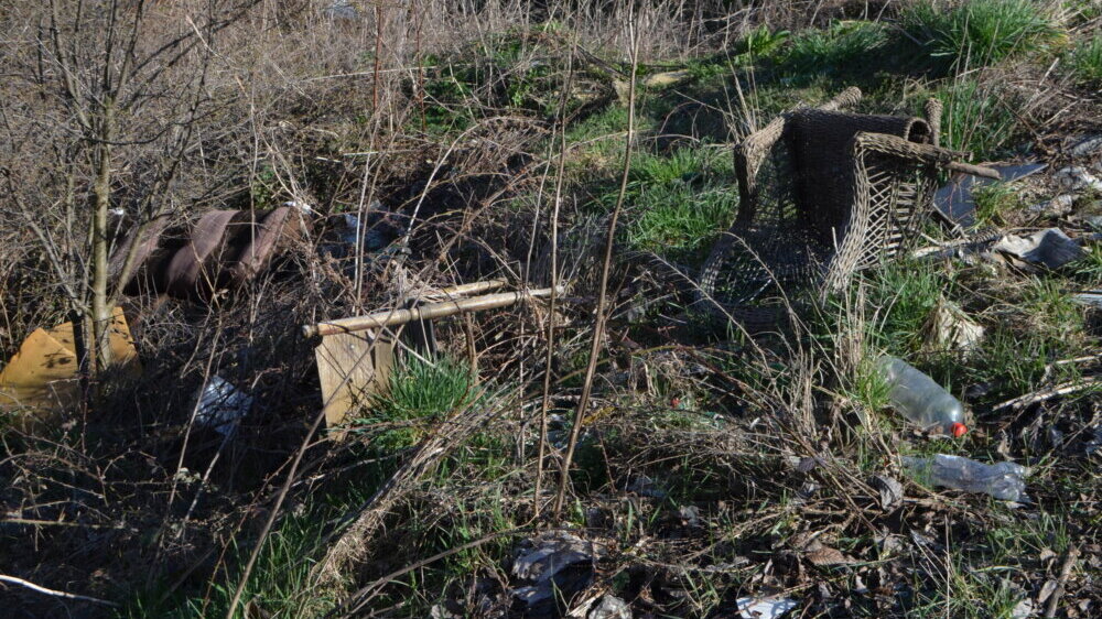 (FOTO) Divlja deponija usred grada: U koritu Sobinske reke u Vranju "životinjske iznutrice i fekalije", nadležni bez odgovora 4