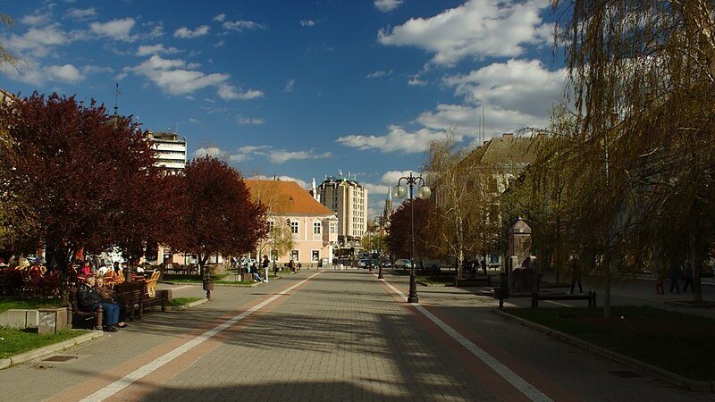 Omladinski aktivizam pokretač pozitivnih promene u našem društvu: Mladi iz Vršca u borbi za svoja prava 1