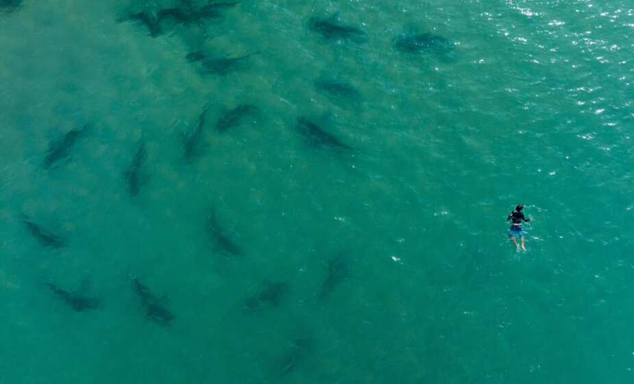 Sporazum o otvorenom moru: Istorijski dogovor posle više od decenije pregovora 1