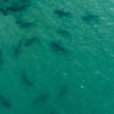 Sporazum o otvorenom moru: Istorijski dogovor posle više od decenije pregovora 1