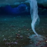 Pogledajte viralni video neverovatnog podvodnog fenomena na Antarktiku koji ubija sve oko sebe 9