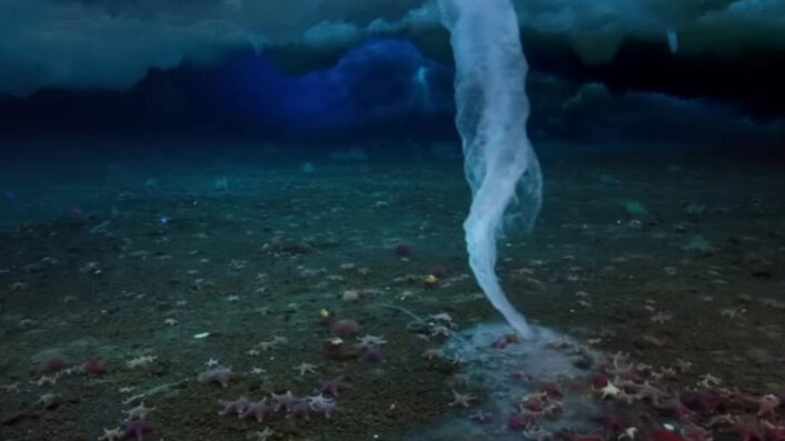 Pogledajte viralni video neverovatnog podvodnog fenomena na Antarktiku koji ubija sve oko sebe 1