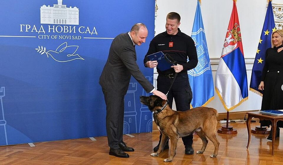 Nagrađeni vatrogasci koji su spasavali unesrećene u Turskoj u Gradskoj kući u Novom Sadu 1
