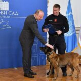 Nagrađeni vatrogasci koji su spasavali unesrećene u Turskoj u Gradskoj kući u Novom Sadu 3