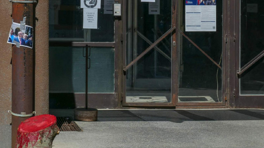 Posečena debla sa Šodroša obojena u crveno osvanula ispred novosadskih nadležnih institucija (FOTO) 1