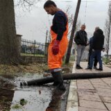Izlila se kanalizacija u Bruskoj ulici u Krnjači 10