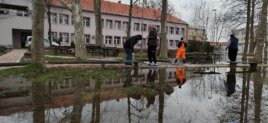Podzemne vode se izlile u dvorište Poljoprivredne škole u beogradskom naselju Krnjača 6