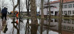 Podzemne vode se izlile u dvorište Poljoprivredne škole u beogradskom naselju Krnjača 5