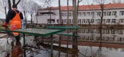 Podzemne vode se izlile u dvorište Poljoprivredne škole u beogradskom naselju Krnjača 4