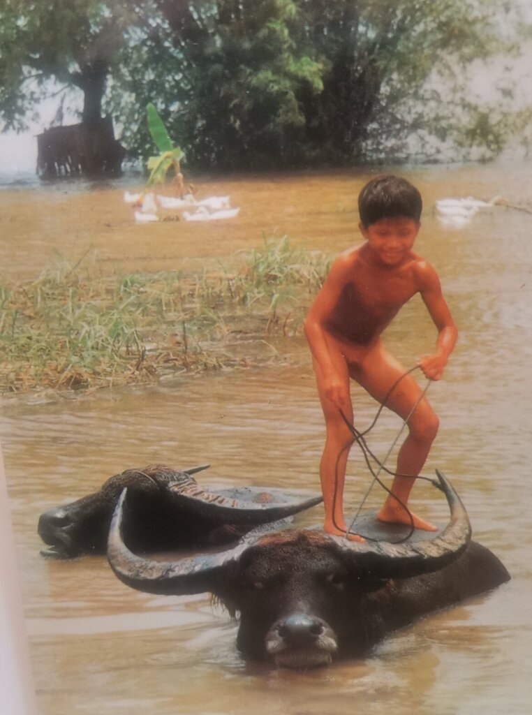 Svetska putnica iz Šapca (77) obišla 143 zemlje: Videla zastrašujuće majmune u Kostariki, gejzire na Islandu, a vojska je sprovodila na plažu (FOTO) 4 Svetska putnica iz Šapca (77) obišla 143 zemlje: Videla zastrašujuće majmune u Kostariki, gejzire na Islandu, a vojska je sprovodila na plažu (FOTO) 4