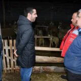 Momirović: Stabilno domaće tržište osnov za jačanje domaće industrije 13