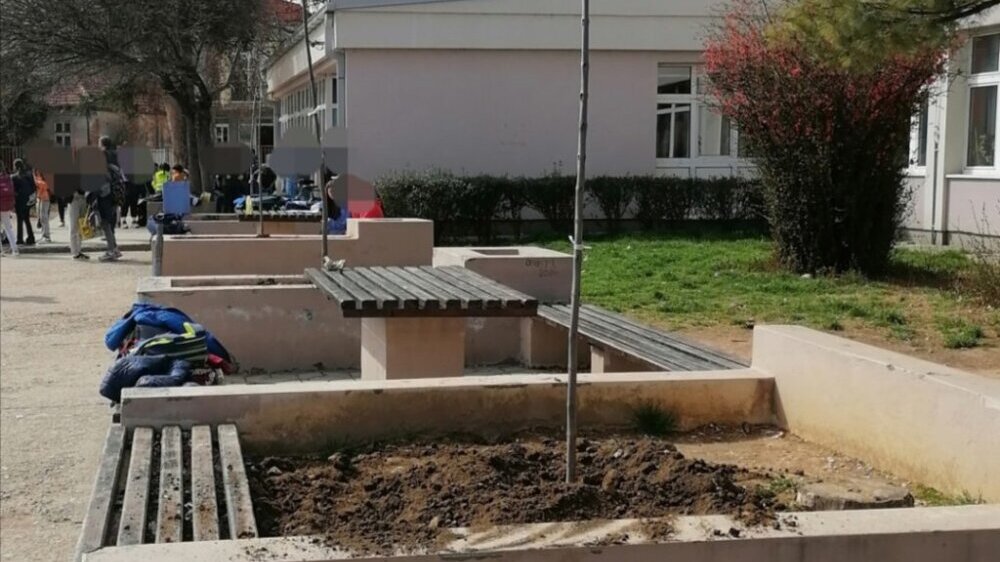 Leskovački osnovci zasadili drveće i ukazali na važnost očuvanja životne sredine 2 Leskovački osnovci zasadili drveće i ukazali na važnost očuvanja životne sredine 2