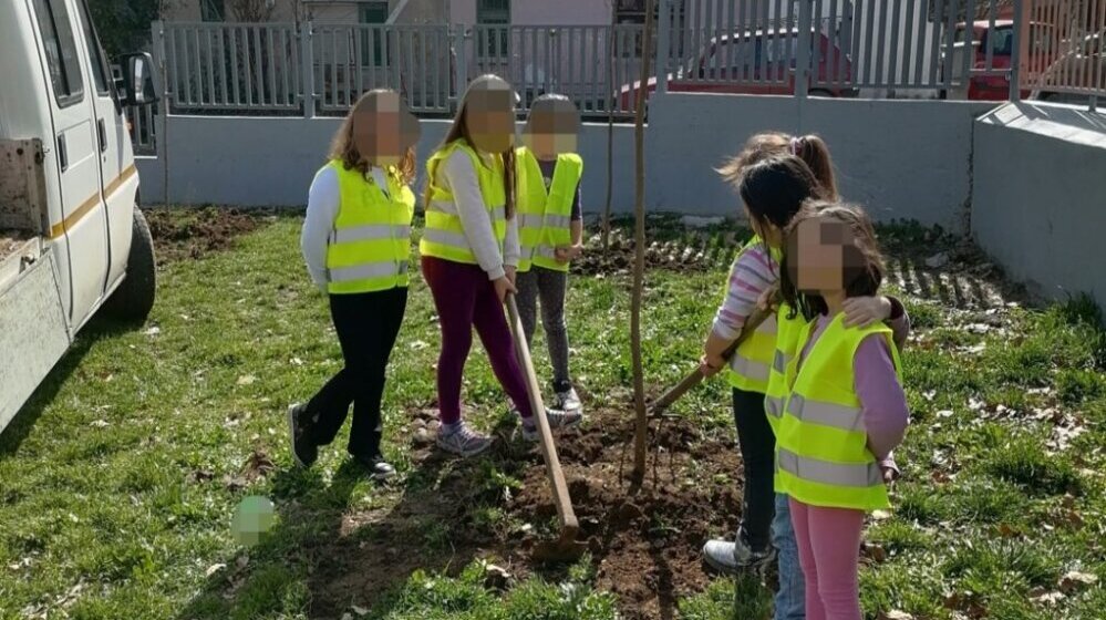 Leskovački osnovci zasadili drveće i ukazali na važnost očuvanja životne sredine 1