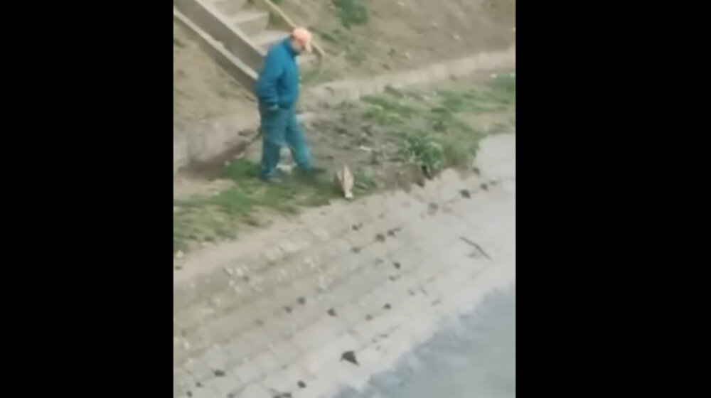 Radnik JKP "Komrad" Vranjsku reku zagađuje umesto da je očisti: Snimak koji je uzbunio Vranjance 1