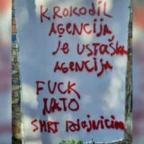 Napadnute prostorije udruženja KROKODIL: Kamere snimile vandale, jedan se vratio da slika 8