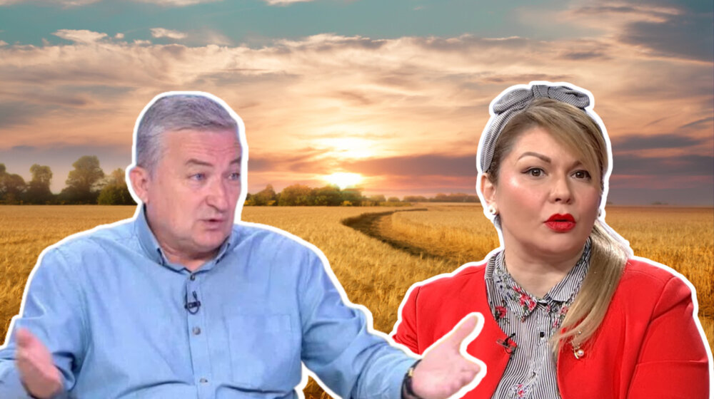Nova žetva na pomolu, a skladišta puna: Uvozi li Srbija pšenicu iz Ukrajine i zbog čega ima toliko zaliha? 1