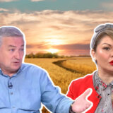 Nova žetva na pomolu, a skladišta puna: Uvozi li Srbija pšenicu iz Ukrajine i zbog čega ima toliko zaliha? 8