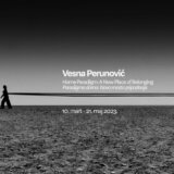 Otvorena izložba Vesne Perunović „Home Paradigm: A New Place of Belonging“ 8