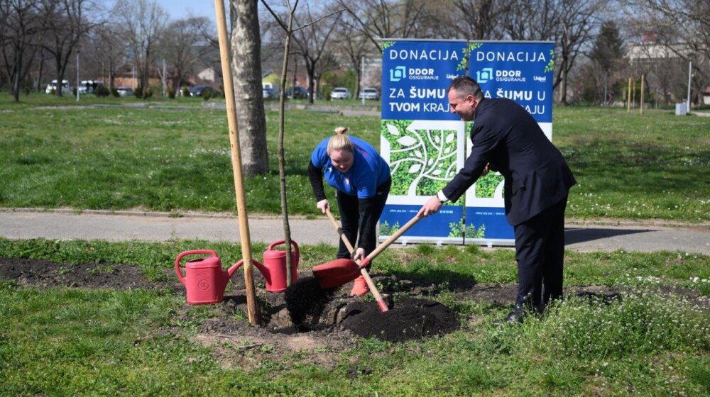 Sadnjom stabala na beogradskom Ušću, DDOR osiguranje nastavilo akciju „Za šumu u tvom kraju“ 1