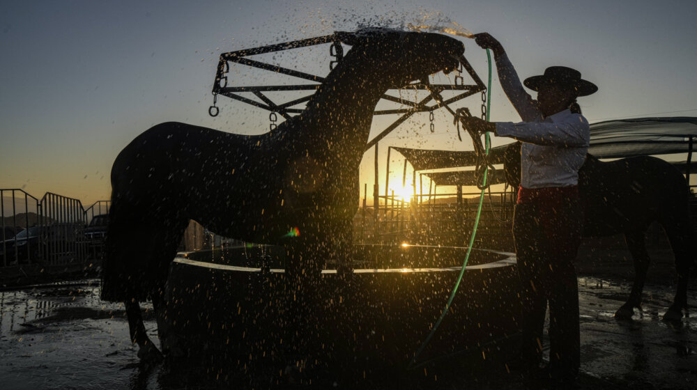 Kobila Dunka sa vlasnicom obilazi staračke domove u Francuskoj 1