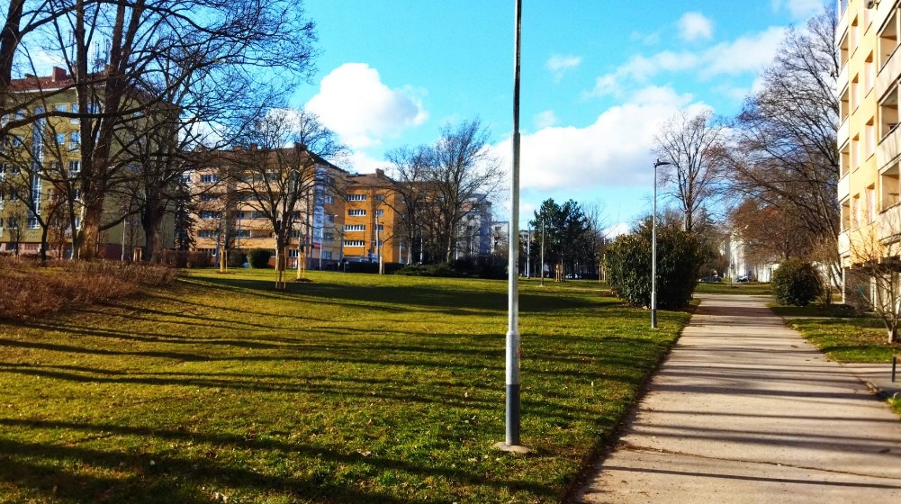 “Cena radnog sata u Češkoj je tri puta veća od naše, a hrana jeftinija”: Kako je Zaječarac rešio da napusti Srbiju 5