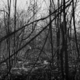 “Nowhere near”: Izložba fotografija koje nemaju za cilj da podsećaju na ekološke katastrofe koje je ljudska vrsta izazvala 1